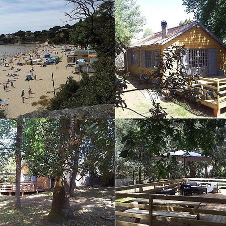 La Palombiere, Plage A 150M Meschers-sur-Gironde Exterior photo